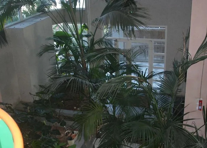 T2 - Face A La Des Minimes Apartamento *